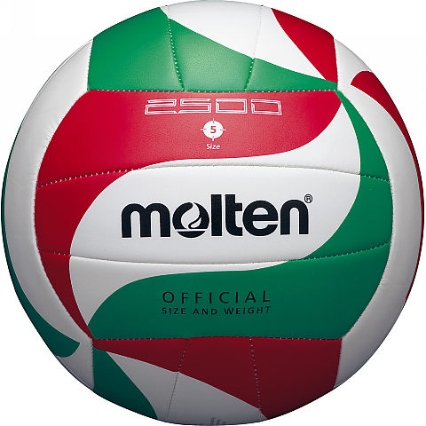Molten Volley VM2501L.JPG